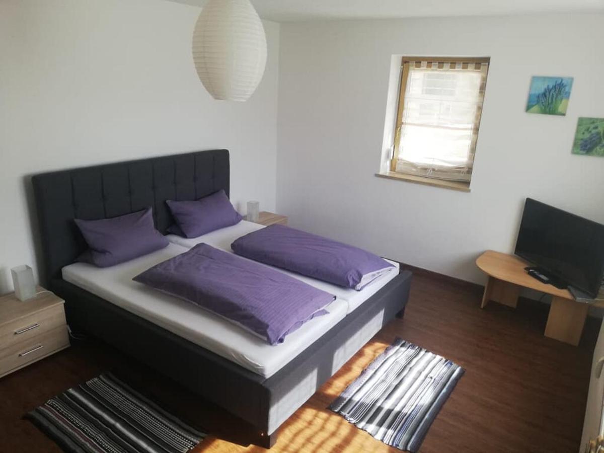 Ferienwohnung Und Sommerhaus Unter Der Burg Falkenberg  Экстерьер фото
