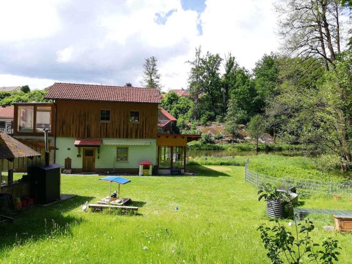 Ferienwohnung Und Sommerhaus Unter Der Burg Falkenberg  Экстерьер фото