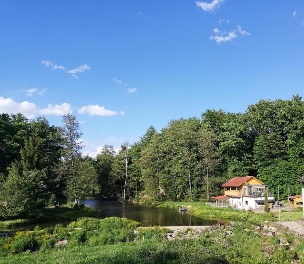 Ferienwohnung Und Sommerhaus Unter Der Burg Falkenberg  Экстерьер фото