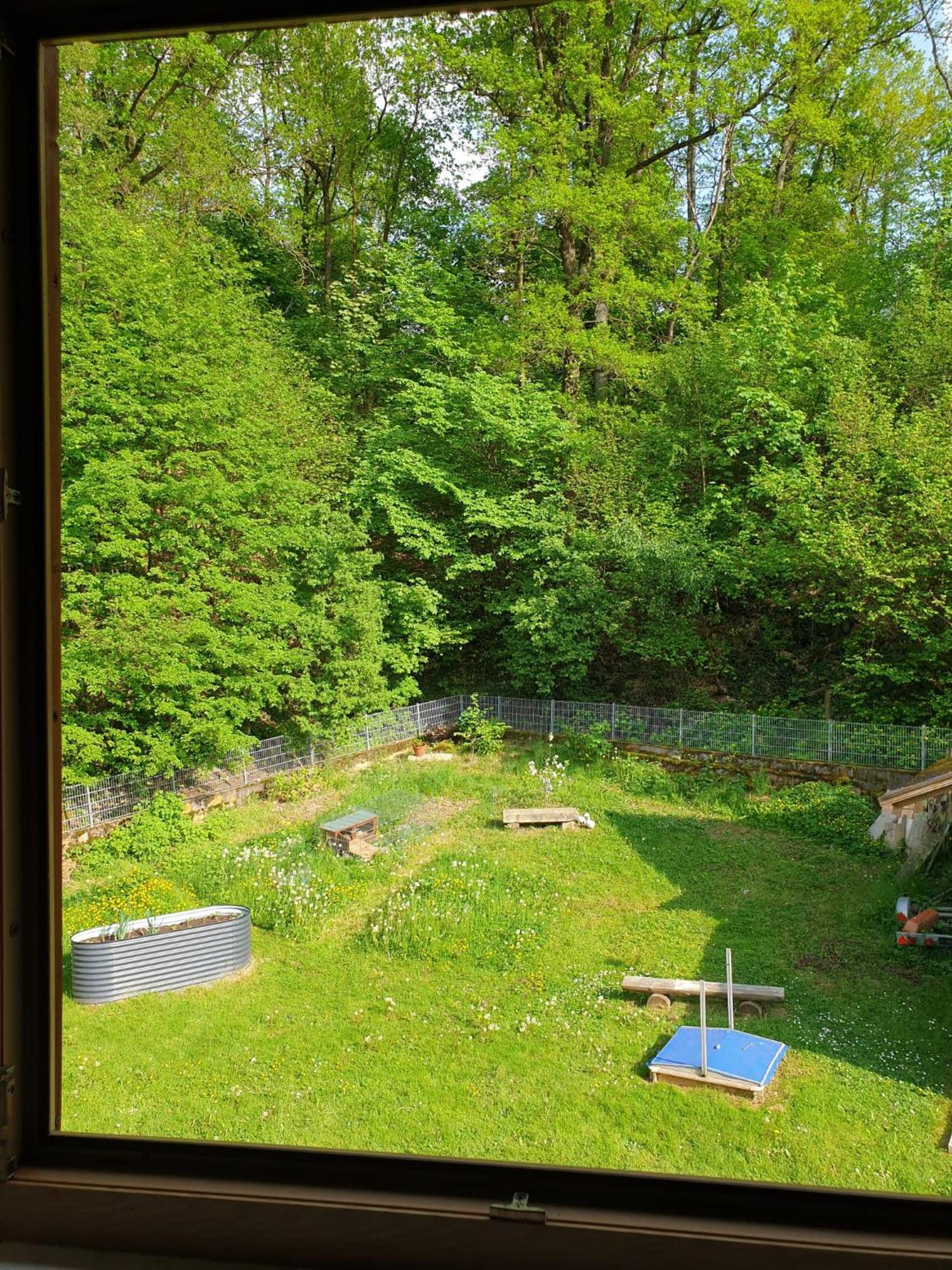 Ferienwohnung Und Sommerhaus Unter Der Burg Falkenberg  Экстерьер фото